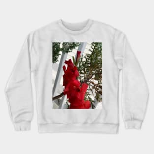 Gladiolus Crewneck Sweatshirt